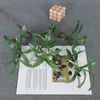 Decoratieve Bloemen Kunstmatige Groene Blad Olijftak Fruit 4 Gevorkte Nep Planten Bruiloft Thuis Pography Props Arrangement Decoratie