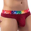 Slip homme Sexy slips string t-back Plaid Lingerie arc-en-ciel Hombre Bikini pénis poche culotte Gay homme Jockstrap serré court