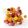ドライフラワードライフラワーデイジーヘッドDiy Immortal Wedding Arranchflower Straw Chrysanthemum Dry Natural Home Room Table Table Ornaments R230725