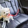 Solidne dwa w pojedynku pas bezpieczeństwa samochodu dla zwierząt domowych ołów smyczy Back Safety Pas bezpieczeństwa Regulowana wiązka dla kociąt psów akcesoria PET L230620