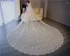 Bruidssluiers Aankomst Kant Applique Wit Ivoor Kathedraal Bruiloft Lange Bruid Mariage Sexy Accessoires Tocado Novia Braut