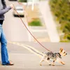 Laisse de chien roulée ronde en cuir tressé laisses de plomb pour petits chiens de taille moyenne marche course formation laisse L230620