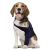 Наклейки с износостойкой одежды для собак наклейки с наклейками с рукавами для ног Антилизы