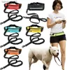Coleira reflexiva para cães Conjunto de bolsa de cintura elástica para corrida Cinto de corrida Fanny Pack Hands-free Traction Dog Corda para jogging Pull Dog Leashes L230620