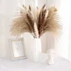 Fleurs séchées Décor d'herbe séchée Naturel Petit pompon sauvage Fluffy Pompas Décor floral Fleurs pour mariage Ferme Maison Dec R230725