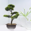 Set di fiori decorativi Scrivania Bonsai Piante per alberi Piccolo mini finto artificiale Home Decor Indoor Faux Greenery