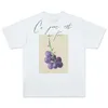 Men's T Shirts DESCENDANT DCDT Joint Qualification Signature Style Fruit Apple And Grape Short Sleeved Tee Men Women