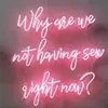 Why Are We Not Having Sex Right Now Neon Light Sign Home Beer Bar Pub Recreation Room Game Lights Windows Glass Wall Signs 24 20 i228b