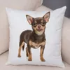 Kussensloop Leuke Puppy Chihuahua Kussensloop Kussenhoes Autobank Thuis Huisdier Dier Decoratie 230724