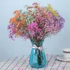 Gedroogde bloemen natuurlijke vers geconserveerde Gypsophila paniculata babys adem bloem boeketten cadeau voor bruiloft decoratie Home decor 230725