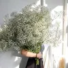 Высушенные цветы 100 г белый букет сохраненный детенышах дыхание высух