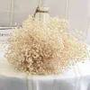 Gedroogde Bloemen Gedroogde Baby's Adem Bloemen Natuurlijke Geconserveerde Boeketten Echte Bloemen Voor Bruiloft Arrangement Thuis DIY Decor R230725