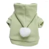 Abbigliamento per cani Grazioso pullover per animali domestici Costume elastico aderente Felpa con cappuccio carina per felpa con orsacchiotto