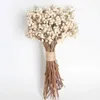 Fiori secchi 20 pezzi di batuffoli di cotone naturale Dired Flower Plants Dry Real White Fruit Bunch Fiori decorativi Fai da te Wedding Home Decoration R230725
