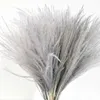 Dried Flowers 10Pcs Natural Dried Flowers Reeds Cream Grey Small Grass Wedding Bouquet Photography Props Home Marriage Decoration R230725