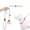 Nylon P Chain Dog Lash Gradientfärger PET Krage och koppel i en förtjockad nylon Hållbar för små medelstora stora hundförsörjningar L230620