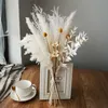 Fleurs séchées Réel Séché Petite Herbe Bouquet De Mariage Plantes Naturelles Décor À La Maison Fleurs Artificielles Séchées Phragmites Fleur Ornementale R230725