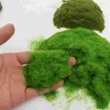 Fleurs décoratives 4 Moss Simulation Lichen Lichen Grass Scene Propheout Craft for Home Shop