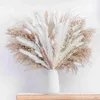 Flores secas 86 pçs grama seca natural decoração de casa buquê phragmites flores secas para casamento arranjos florais decorações r230725