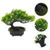 Dekorative Blumen, Strauch, Desktop-Verzierung, Bonsai-Material, Simulationsbaum-Ornament, künstliche Kiefernimitation, emuliertes Grün