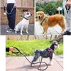 Pet Leash عاكس القوي الكلب المقود 1.5m مع مقبض مبطن مريح التدريب الثقيل التدريب الدائم الحبل نايلون الحبل L230620