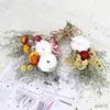 Fleurs séchées Fleurs séchées naturelles Mini herbe préservée Bouquet Oubliez pas moi Queue de lapin Herbe Accueil Mariage Talbe Décoration R230725