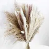 Torkade blommor 80st Natural Grass Decor Bouquet Torkat blommor Arrangemang Centerpiece Table Decor Wedding Decor Rustic Decoration R230725