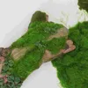 Fleurs décoratives 4 Moss Simulation Lichen Lichen Grass Scene Propheout Craft for Home Shop