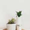 Fiori decorativi Piante verdi finte Piante grasse artificiali Decorazioni per piante d'appartamento Ornamenti Piccola plastica realistica per interni
