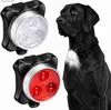 Husdjursledning Ljuslampa TAG LED DOG CHART Light Pendant Glow Night Safety LED Dogs ficklampa för krage sele koppel l230620