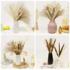 Fleurs séchées Décor d'herbe séchée Naturel Petit pompon sauvage Fluffy Pompas Décor floral Fleurs pour mariage Ferme Maison Dec R230725