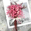 Torkade blommor 2G Mini Baby's Breath Dry Flower Photo Props Flores Secas Natures Wedding Birthday Decoration Hemgåvor Torkade blommor R230725