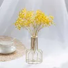 Dried Flowers 10g 10-15cm Mini Natural Dried Flowers Grass Dry Flowers Home Decorative Photography Photo Backdrop Decor R230725