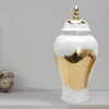 Bottiglie di stoccaggio vaso vaso semplice con coperchio collezione vaso display zenzero per armadio