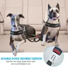 Dubbel hundbils säkerhetsbälte Elasticitetsförlängning reflekterande rand Justerbara fordonsresestillbehör Säkerhet koppel för två husdjur L230620