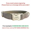 Personlig hundkrage Anpassade husdjurskrage Gratis gravering ID -typ Tagga PET Tillbehör Multi Velvet Puppy Collar Leash L230620