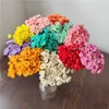 Getrocknete Blumen, natürliche Trockenblumen, brasilianisches kleines Sterngänseblümchen, dekorative getrocknete Blumen, Mini-Gänseblümchen-Blumenstrauß für Hochzeit, Blumenarrangement R230725