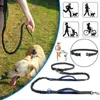 Hands Free Pet Dog Lead Walking Running Belt Jogging Waist Pet Leads Tranning Leash Outdoor Adjustable Elastic Belt L230620