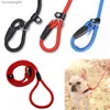 Nylon Dog Leash Pet Puppy Slip Lead Rope Dog Slip Leash Chain Collar Adjustable No-Pull Dog Training Leash for Small Dogs Yorkie L230620