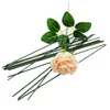 Dried Flowers 17cm253040cm Artificial Flower Stems Rose leavesbase Iron Wire Stem DIY Soap Paper Stub Accessory Craft Decor 230725