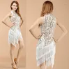 Roupas de ginástica Vestido de dança latina Mulheres/Meninas/Lady Sexy Fringe Salsa/Salão de baile/Tango/Cha Cha/Rumba/Samba/Vestidos latinos para dançar