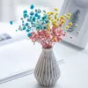 Fleurs séchées Mini Fleurs Séchées Naturel Babysbreath Préserver Floral Plante Bouquet De Mariage Maison Toile De Fond Décor DIY Artisanat R230725