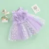 Robes de fille FOCUSNORM 1-6Y Enfants Filles Tulle Princesse Robe 4 Couleurs Sans Manches Fleur Dentelle Tutu Robe pour la Fête 230725