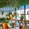 Fiori decorativi Rattan artificiale Hanging Decor Arbusti Decorazione esterna Parete in plastica Realistico