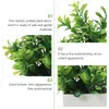 Kwiaty dekoracyjne soczyste sztuczne zielone gospodarstwo domowe fałszywe bonsai dekoracje donite sztuczny dom wewnętrzny