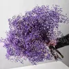 Gedroogde bloemen natuurlijke vers geconserveerde Gypsophila paniculata babys adem bloem boeketten cadeau voor bruiloft decoratie Home decor 230725