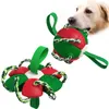 ペット用品犬のおもちゃボーカルモルボール卸売新しい爆発的な屋外インタラクティブフリスビートレーニングフットボール犬のおもちゃ