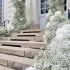 Высушенные цветы 100 г белый букет сохраненный детенышах дыхание высух