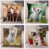 Kussensloop Leuke Puppy Chihuahua Kussensloop Kussenhoes Autobank Thuis Huisdier Dier Decoratie 230724