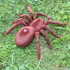Electric/RC Animals Infrared RC Toy Remote Control Scary Creepy Spider Realistic Tarantula Mock Fake Spider Prank Tricky Jock Halloween Gift 230724